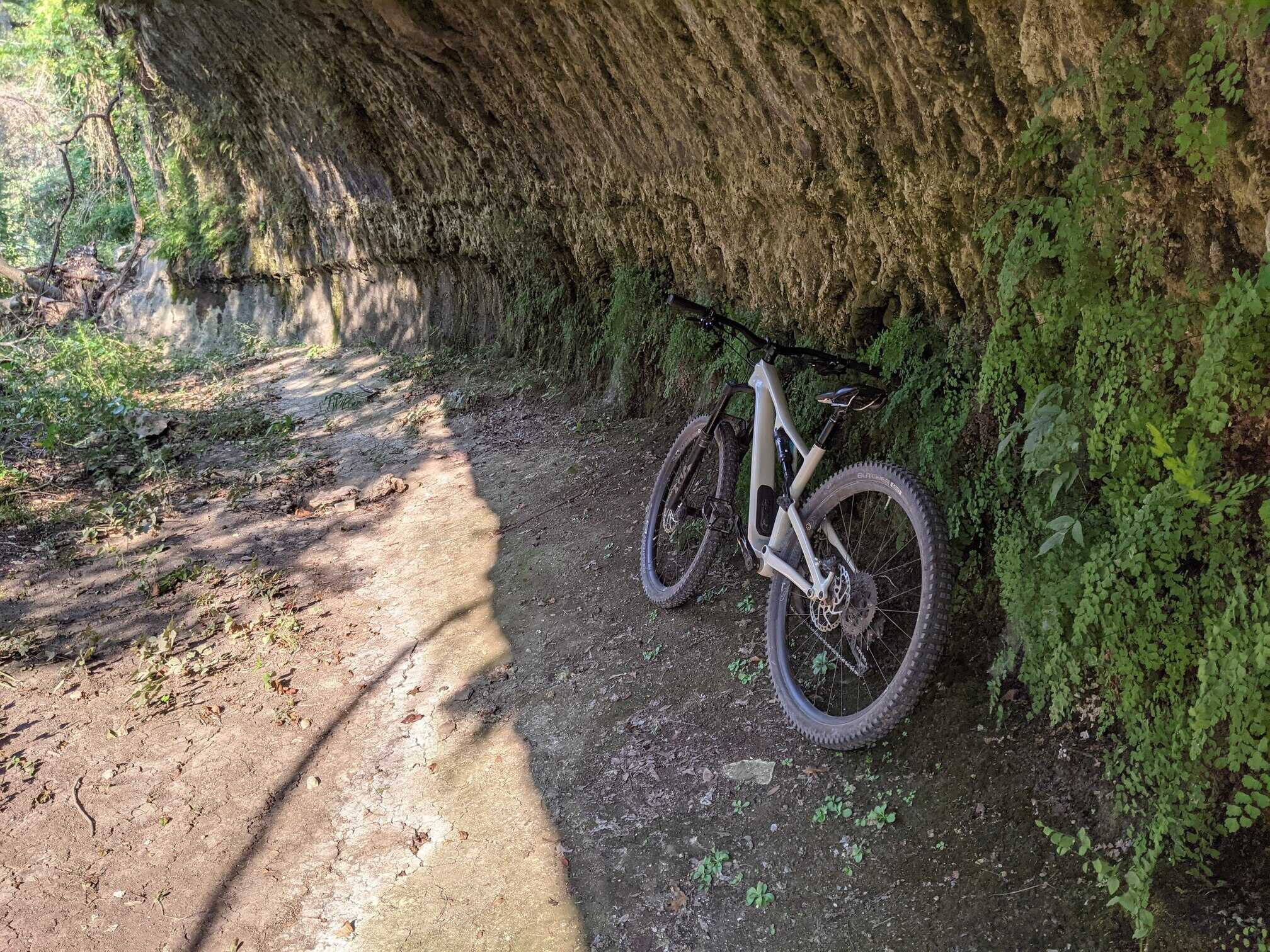 MTB at Brushy Creek
